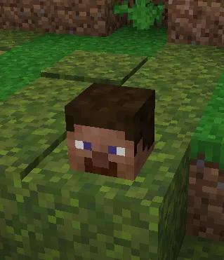 A Minecraft player head on top of a grass block